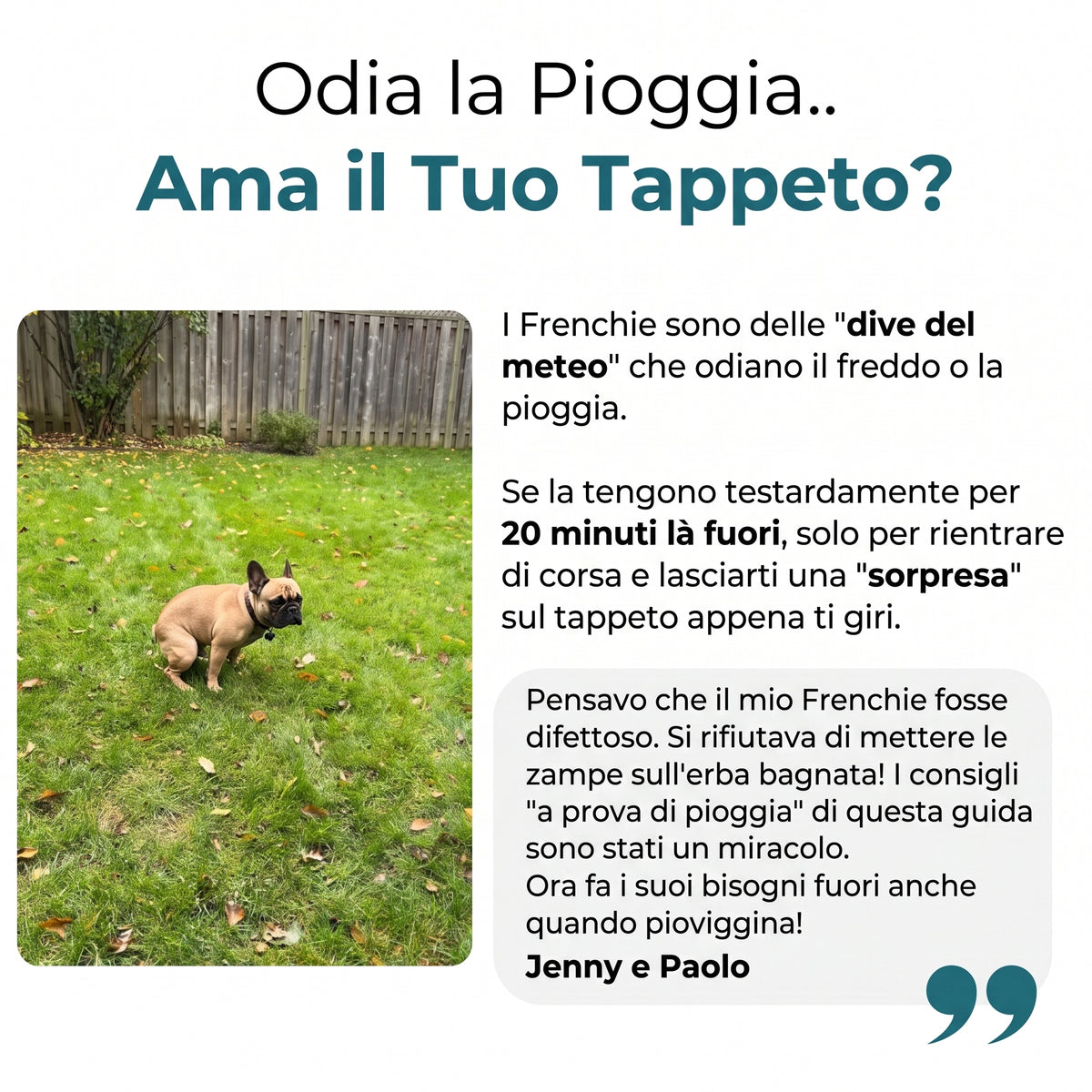 La Guida Completa al Bulldog Francese