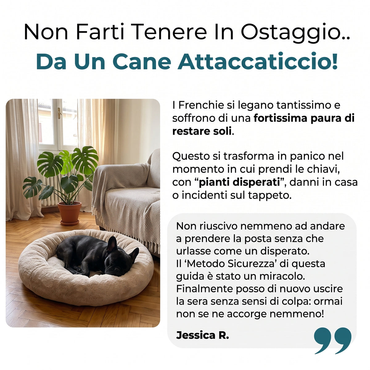 La Guida Completa al Bulldog Francese
