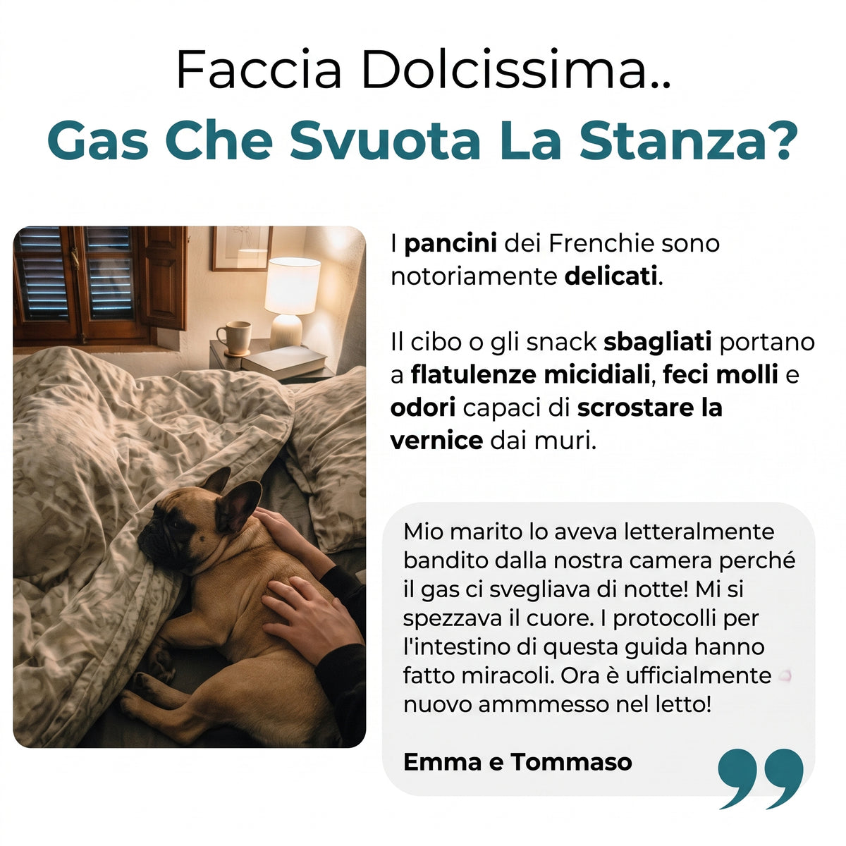 La Guida Completa al Bulldog Francese