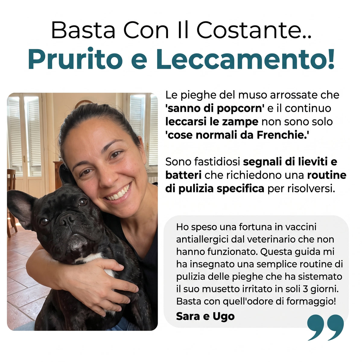 La Guida Completa al Bulldog Francese