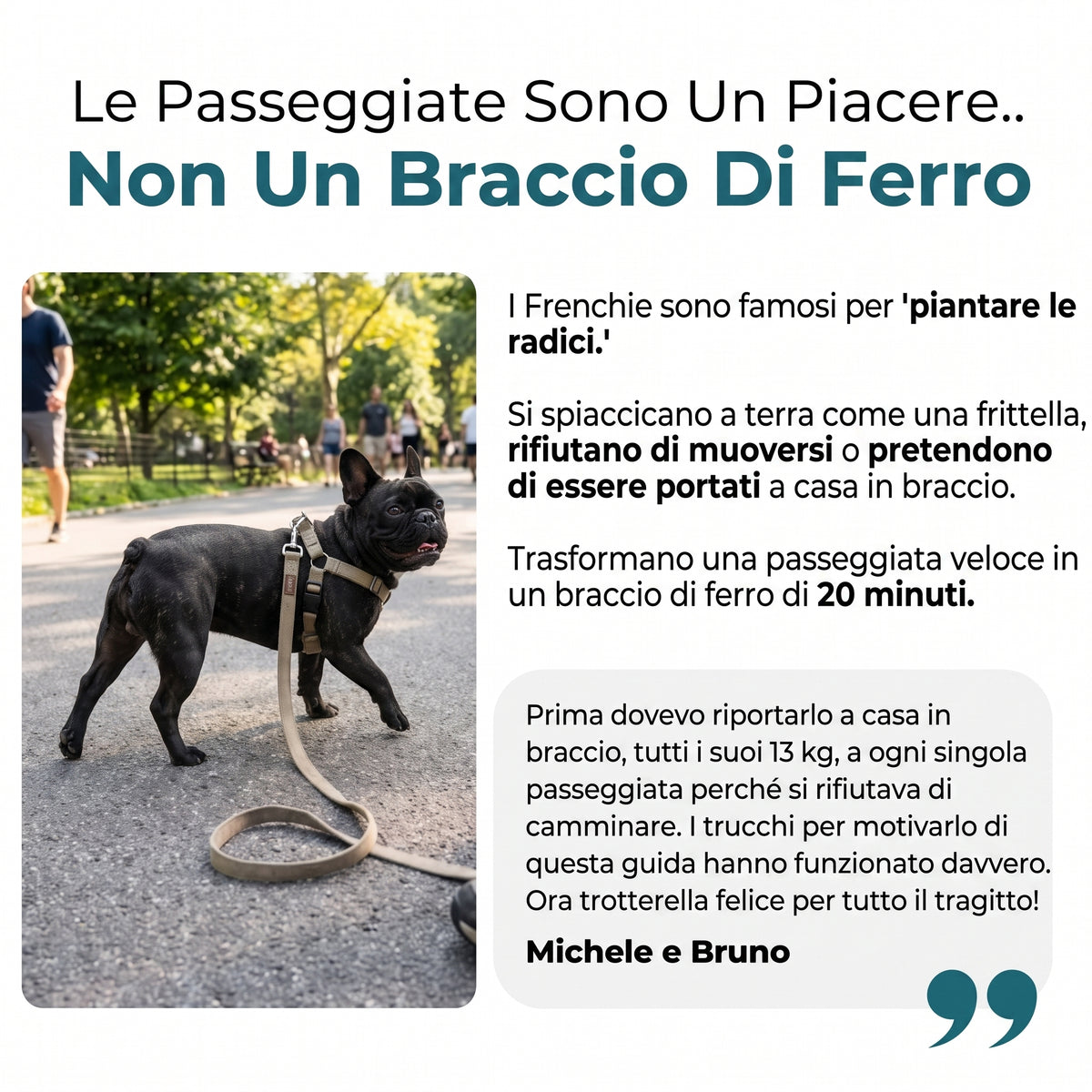 La Guida Completa al Bulldog Francese