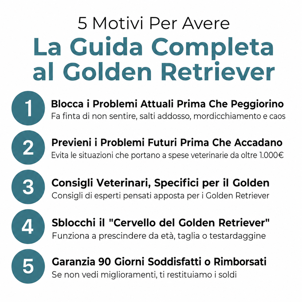 La Guida Completa per il tuo Golden Retriever