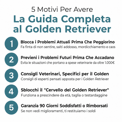 La Guida Completa per il tuo Golden Retriever
