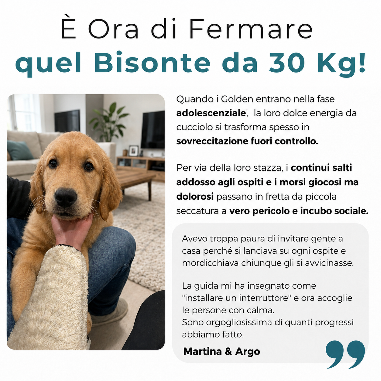 La Guida Completa per il tuo Golden Retriever