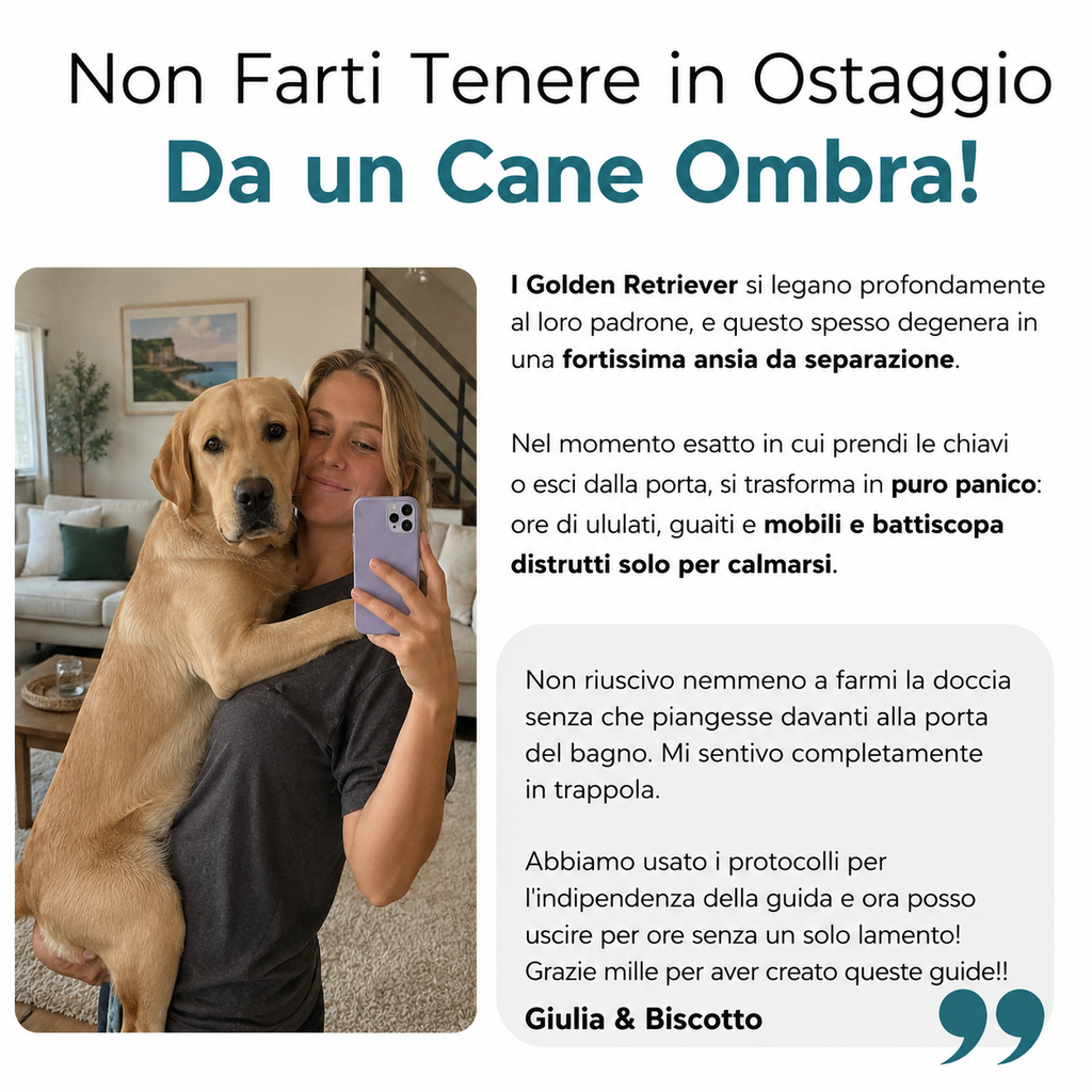 La Guida Completa per il tuo Golden Retriever