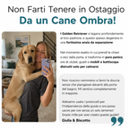 La Guida Completa per il tuo Golden Retriever