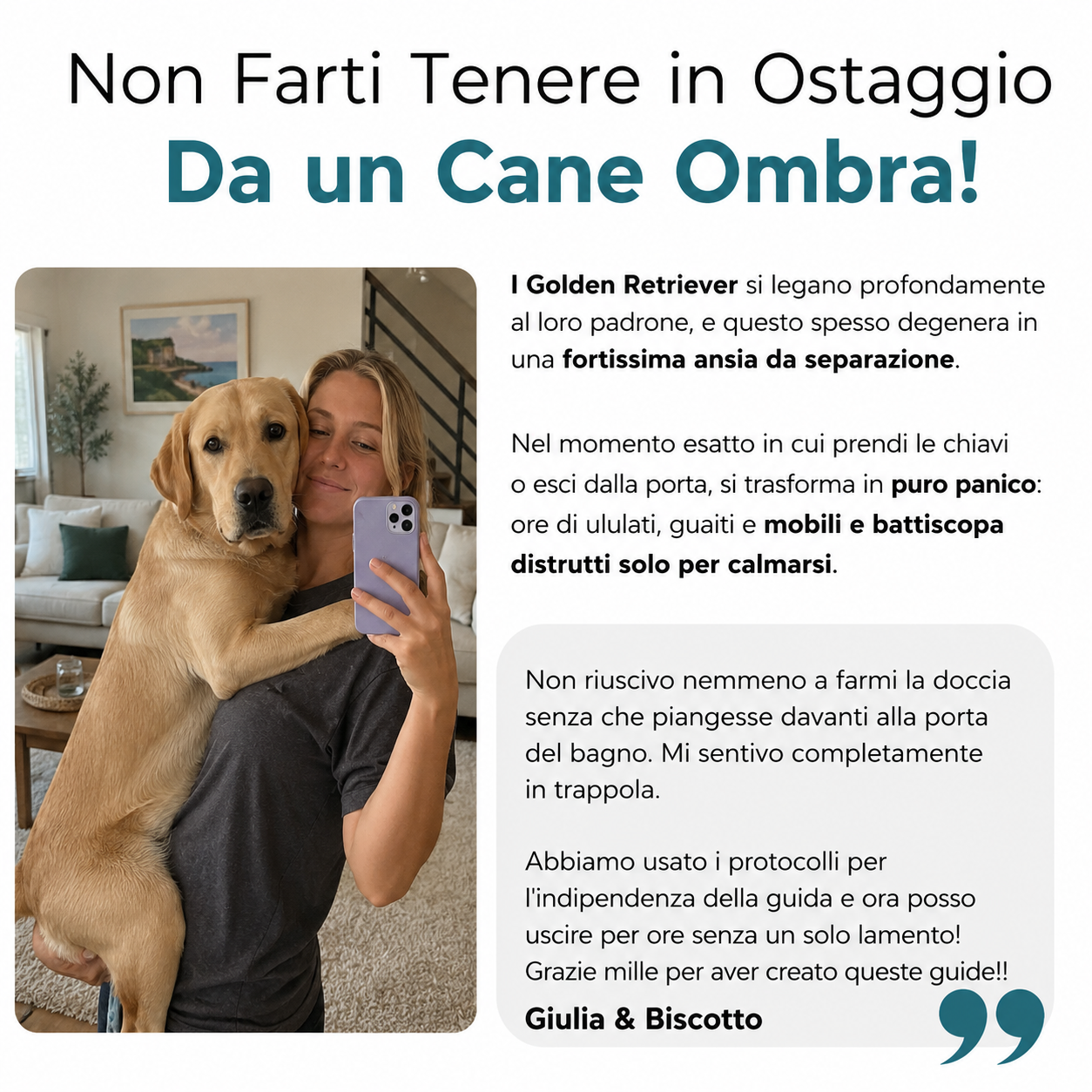 La Guida Completa per il tuo Golden Retriever