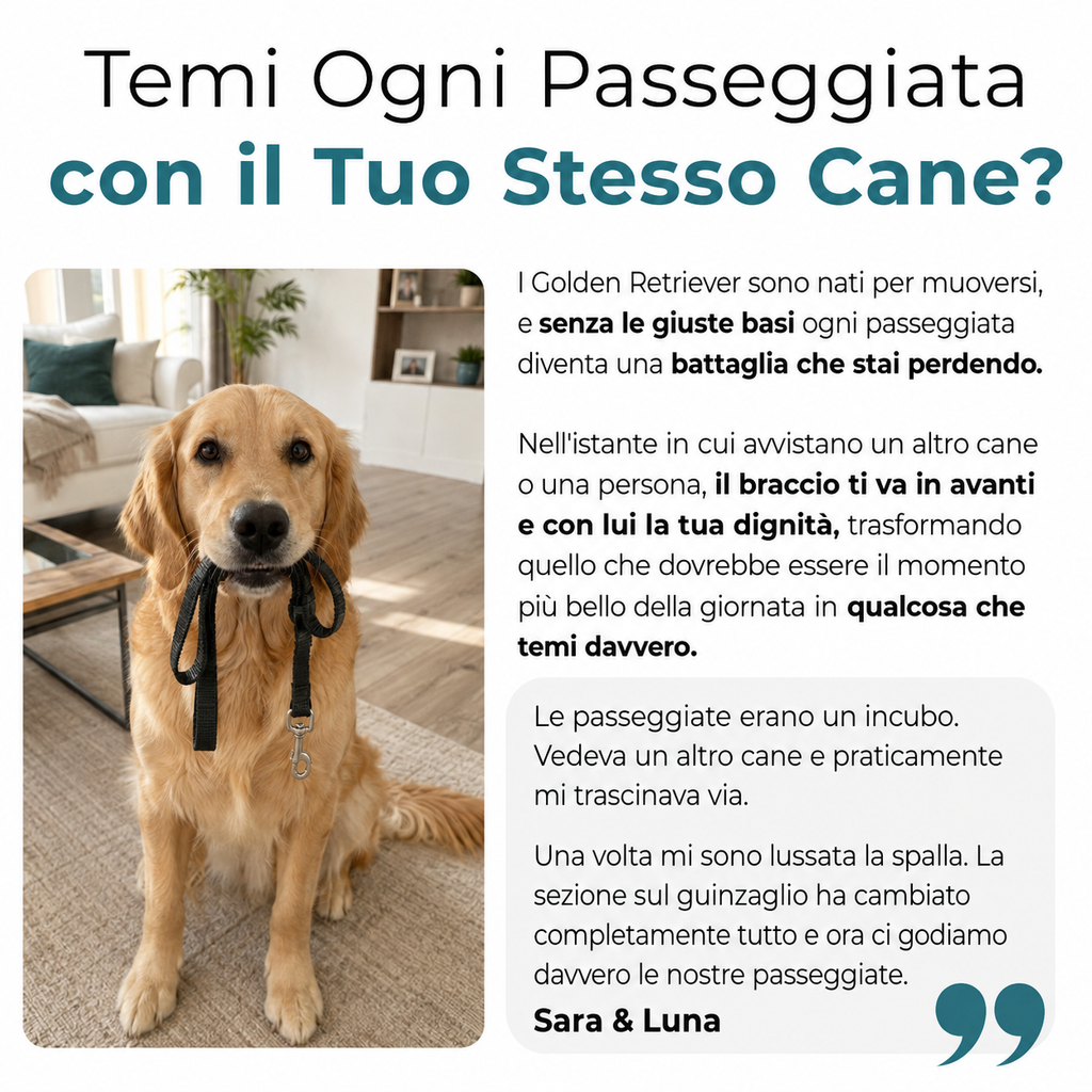 La Guida Completa per il tuo Golden Retriever
