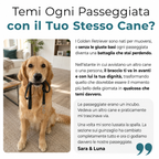 La Guida Completa per il tuo Golden Retriever