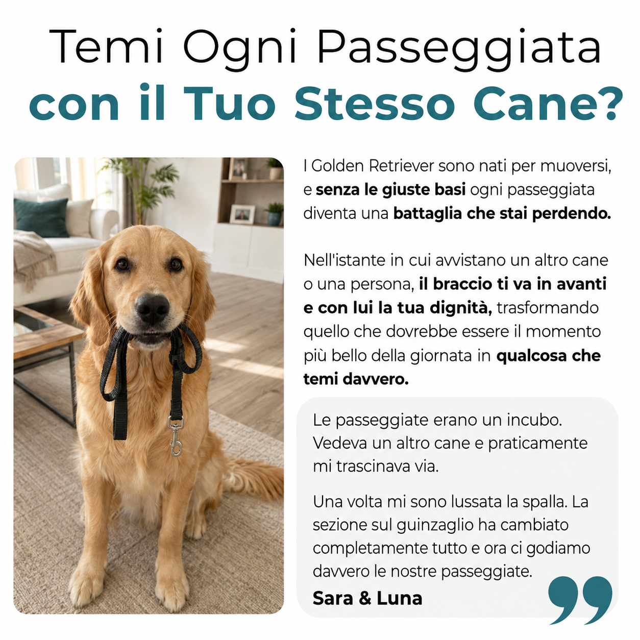 La Guida Completa per il tuo Golden Retriever