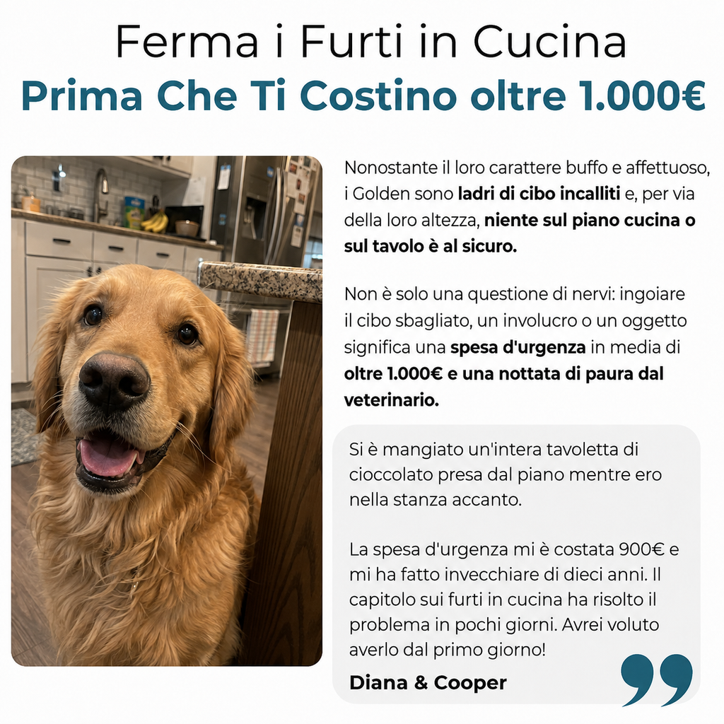 La Guida Completa per il tuo Golden Retriever