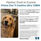 La Guida Completa per il tuo Golden Retriever