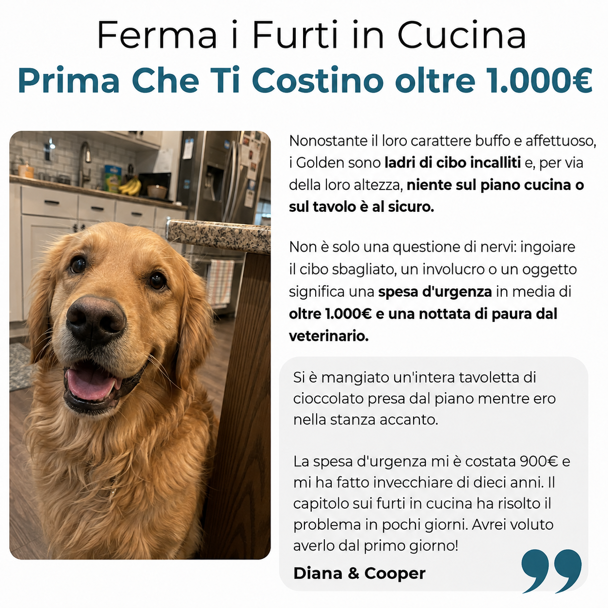 La Guida Completa per il tuo Golden Retriever