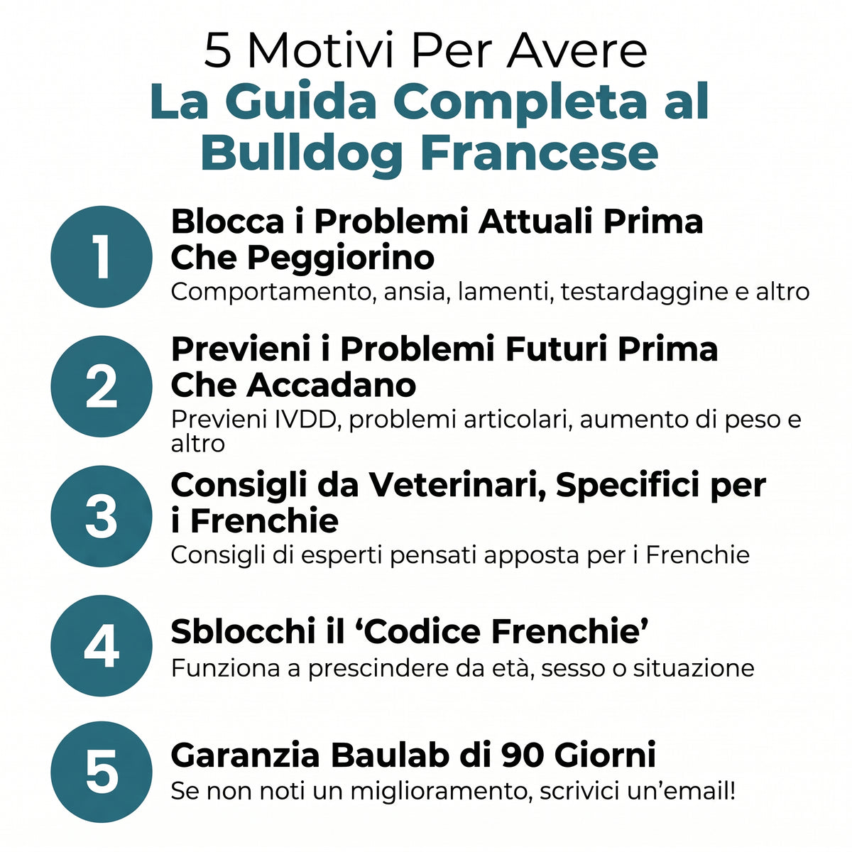 La Guida Completa al Bulldog Francese