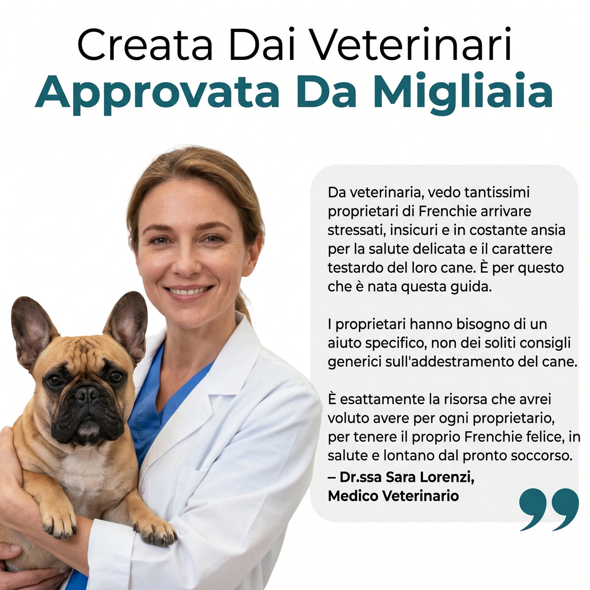La Guida Completa al Bulldog Francese