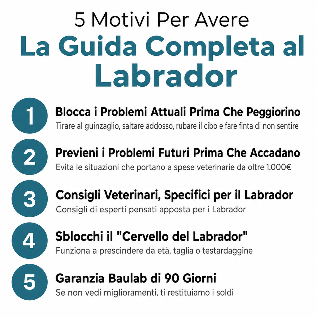 La Guida Completa per il tuo Labrador