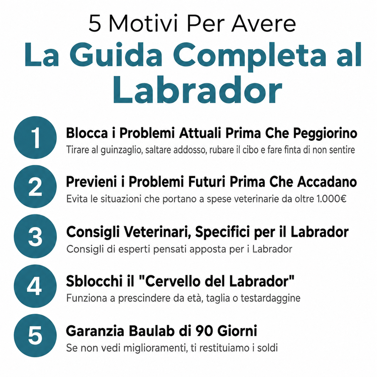 La Guida Completa al Labrador