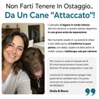 La Guida Completa per il tuo Labrador