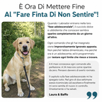 La Guida Completa per il tuo Labrador