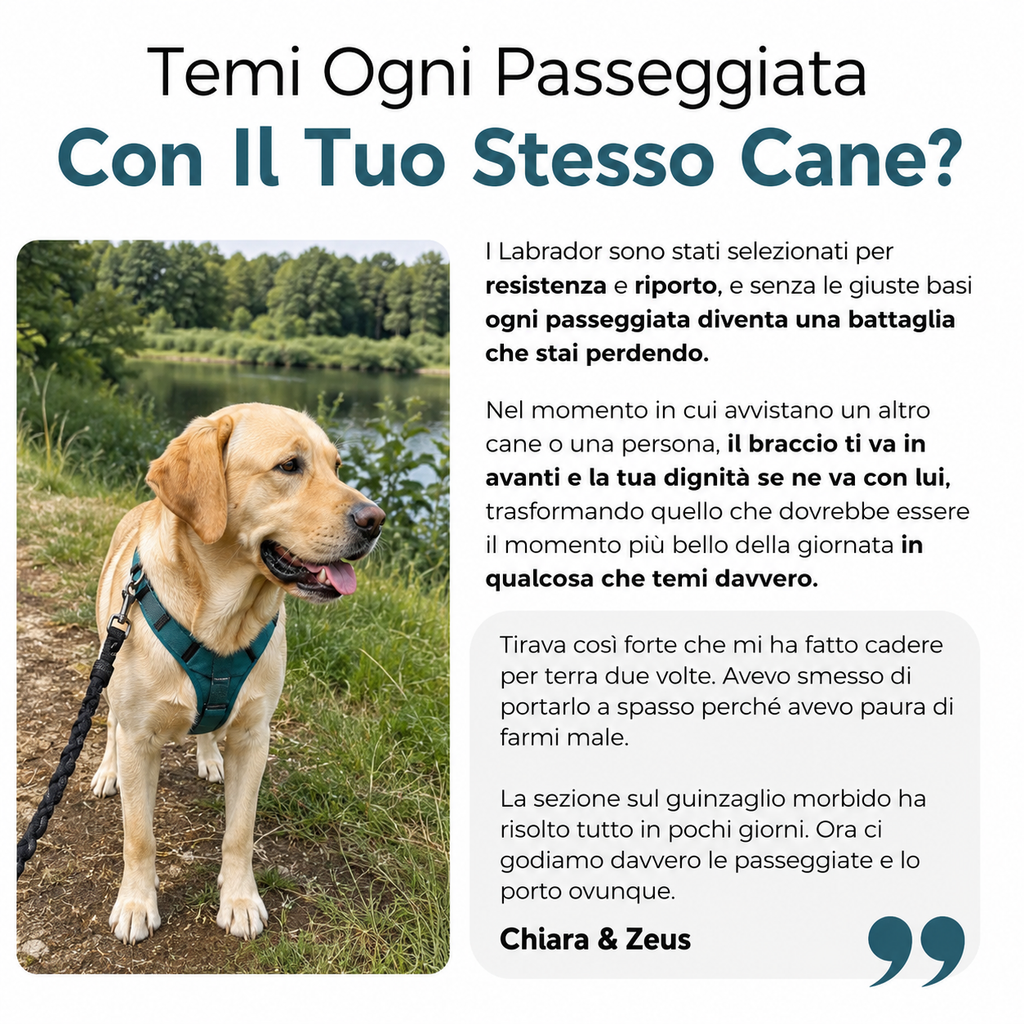 La Guida Completa per il tuo Labrador