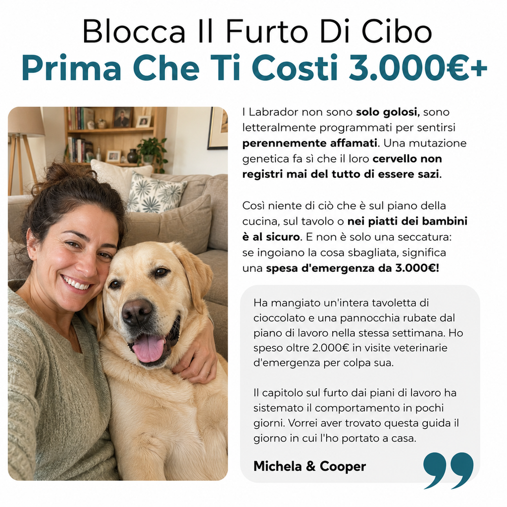 La Guida Completa per il tuo Labrador