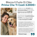La Guida Completa per il tuo Labrador